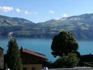 Nature in Spiez - Switzerland