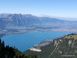 Nature in Spiez - Switzerland