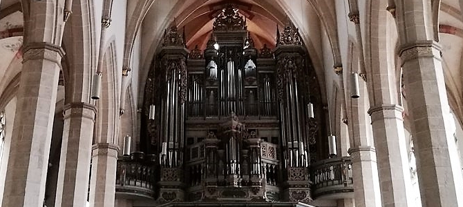 Concierto de órgano en Erfurt – Alemania – Julio 2020