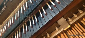 Organ concert – monastery Church of St Anna – Munich