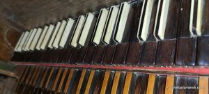 Organ concert – Paredes de Nava – Palencia –