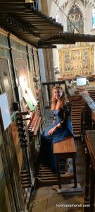 Organ concert – Paredes de Nava – Palencia –