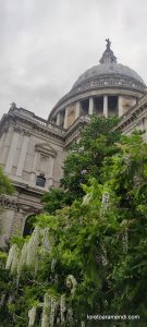 Organ Concert - Saint Paul's Cathedral - London - May 2025