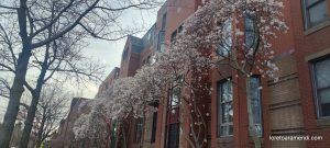 Organ Concert - Trinity Church - Boston - April 2025