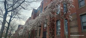 Orgelkonzert – Trinity Church – Boston – April 2025