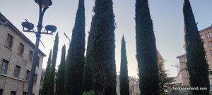 Concierto de órgano - Monasterio de las Huelgas Reales - Valladolid - Junio 2025