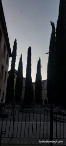 Concierto de órgano - Monasterio de las Huelgas Reales - Valladolid - Junio 2025