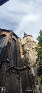 Concierto de órgano - St Wenzel Naumburg - Alemania - Junio 2025