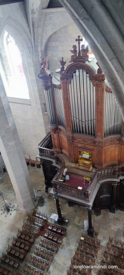 Concierto de órgano - Catedral Saint Claude Jura - Francia 006