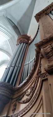Concierto de órgano - Catedral Saint Claude Jura - Francia 051