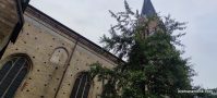 Concierto de órgano - St Peter Dom Schleswig 006