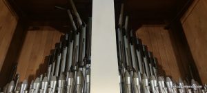 Concierto de órgano - St Peter Dom - Schleswig- Alemania - Agosto 2025