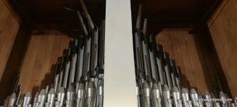 Concierto de órgano - St Peter Dom Schleswig 019