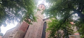Concierto de órgano - St Peter Dom Schleswig 023