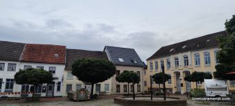 Concierto de órgano - St Peter Dom Schleswig 024