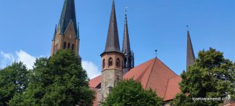 Concierto de órgano - St Peter Dom Schleswig 048