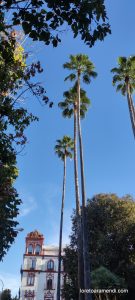 Concert d'orgue - Alcalá de Guadaíra - novembre 2025