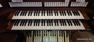 Orgelkonzert – Basilica Papale e Abbazia di San Paolo fuori le mura in Rom – November 2025