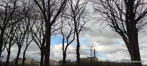 Concierto de órgano - Basílica Ste Clotide - Paris - Enero 2026