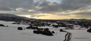 Concierto de órgano - Concatedral de Santa Maria de la Redonda - Logroño - España - Noviembre 2025