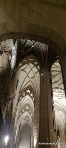 Concierto de órgano - Concatedral de Santa Maria de la Redonda - Logroño - España - Noviembre 2025