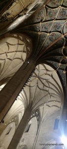 Concierto de órgano - Concatedral de Santa Maria de la Redonda - Logroño - España - Noviembre 2025