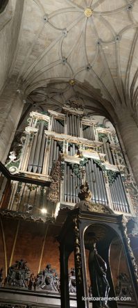 Concierto de órgano - Concatedral de Santa Maria de la Redonda - Logroño - España - Noviembre 2025