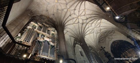 Concierto de órgano - Concatedral de Santa Maria de la Redonda - Logroño - España - Noviembre 2025