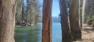 Concierto de órgano - Iglesia de los Sagrados Corazones - Valparaíso - Chile - Diciembre 2025