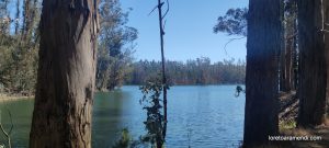 Concierto de órgano - Iglesia de los Sagrados Corazones - Valparaíso - Chile - Diciembre 2025