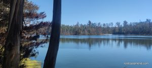 Concierto de órgano - Iglesia de los Sagrados Corazones - Valparaíso - Chile - Diciembre 2025
