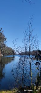 Concierto de órgano - Iglesia de los Sagrados Corazones - Valparaíso - Chile - Diciembre 2025