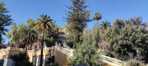 Concierto de órgano - Iglesia San Ignacio Santiago de Chile - Diciembre 2025