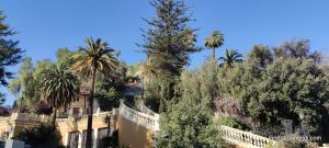 Concierto de órgano - Iglesia San Ignacio Santiago de Chile - Diciembre 2025