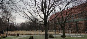 Concierto de órgano - Wroclaw - Polonia - Diciembre 2025