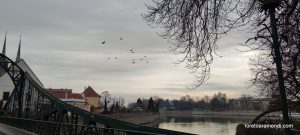 Organo kontzertua - Wroclaw - Polonia - 2025eko abendua