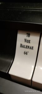 Concierto de órgano - Wroclaw - Polonia - Diciembre 2025