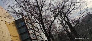 Concierto de órgano - Wroclaw - Polonia - Diciembre 2025